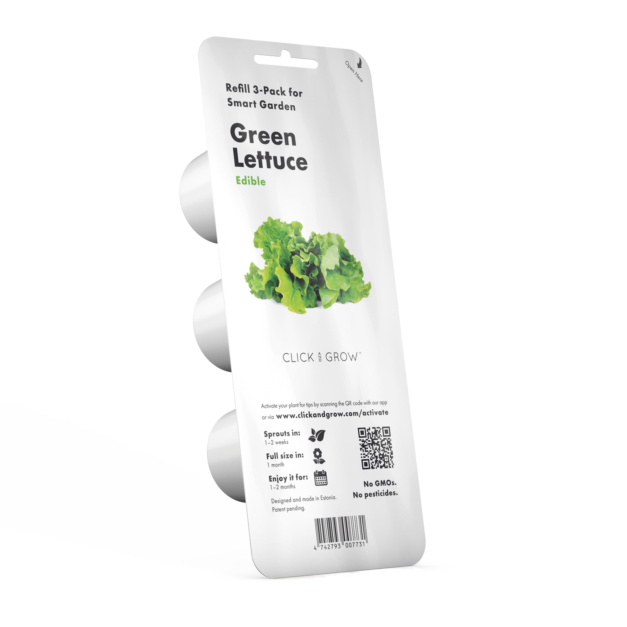 Green Lettuce Plant Pods 3-pack