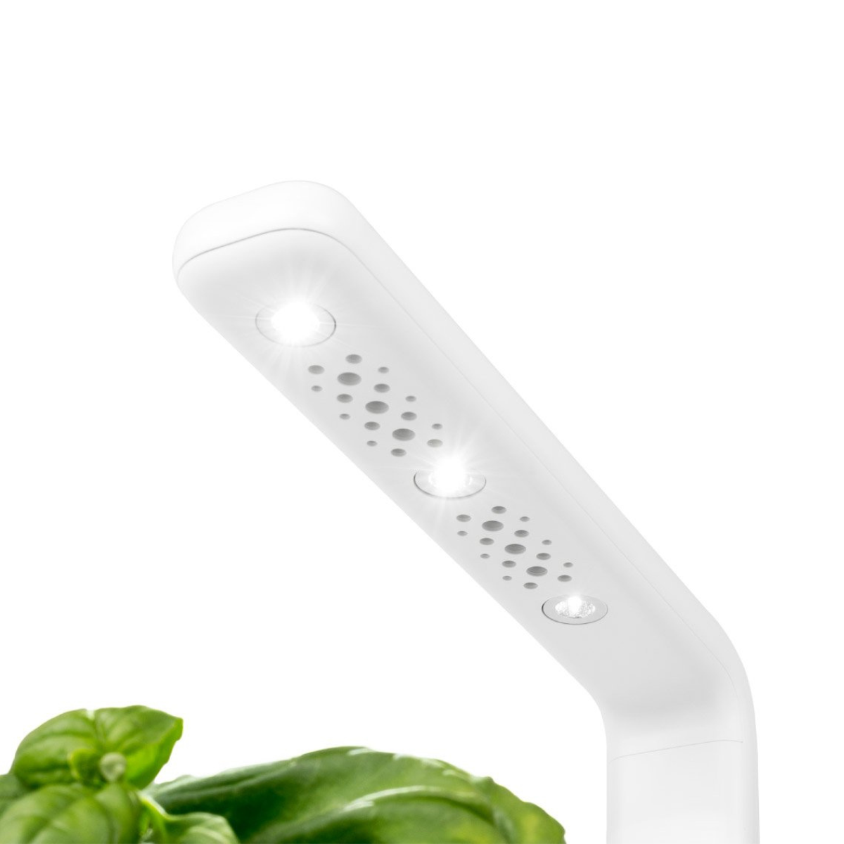 The Smart Garden 3 Lamp