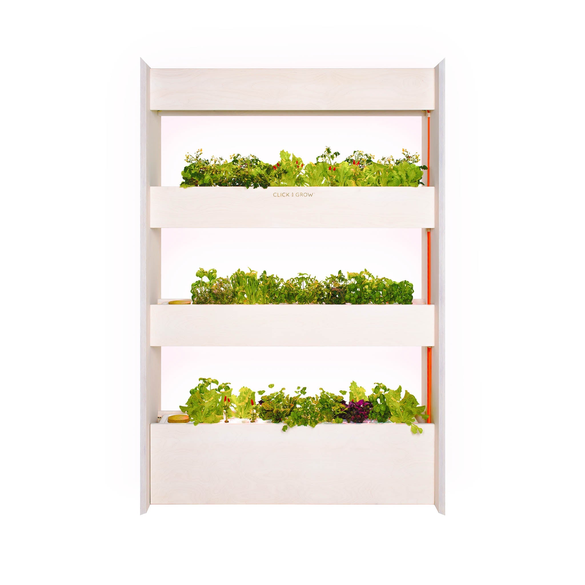 The Wall Farm Indoor Vertical Garden