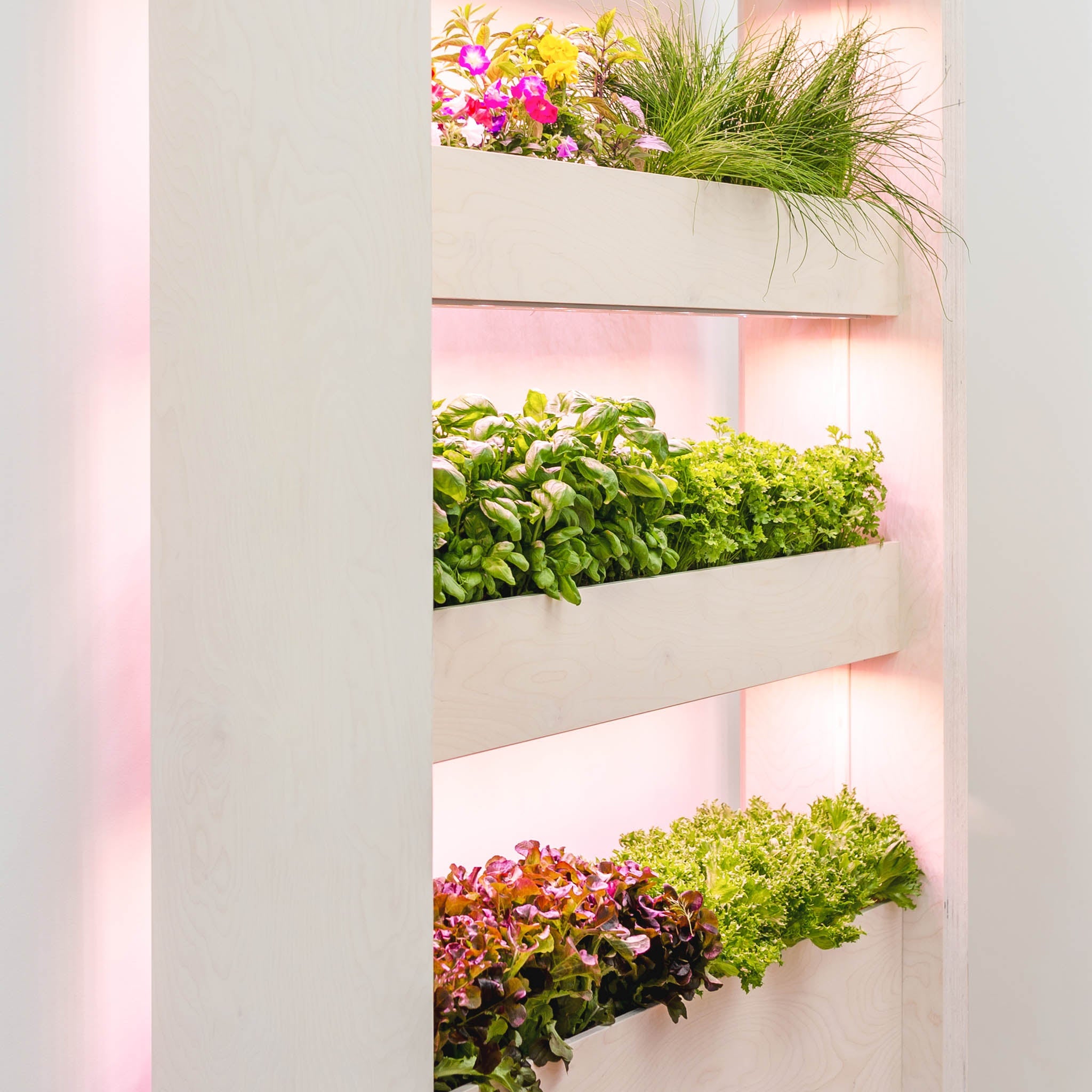 The Wall Farm Indoor Vertical Garden